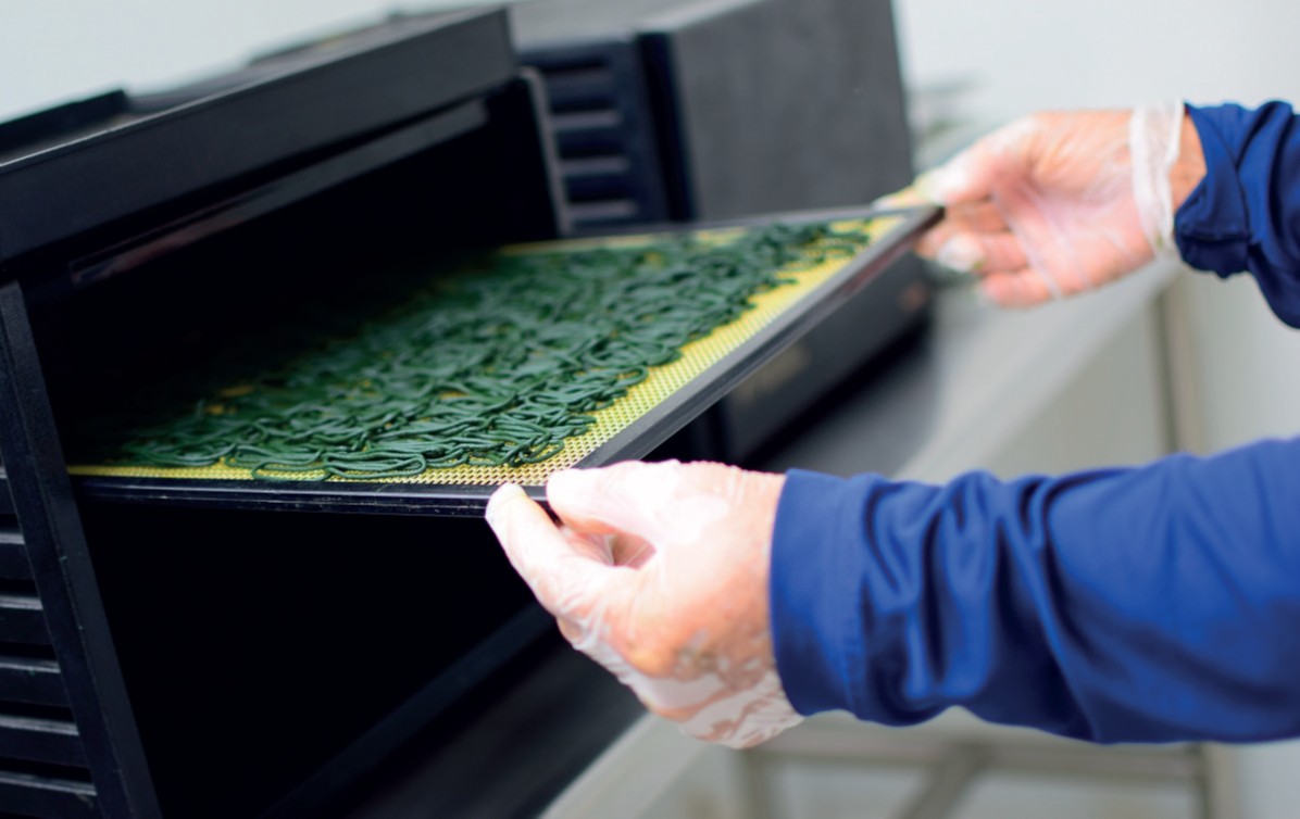 Cultivo artesanal de espirulina en raceways